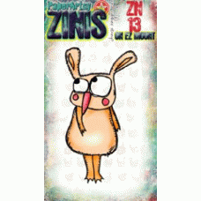 Zinis 13